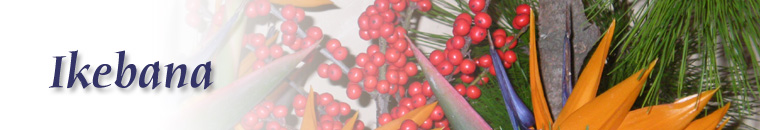 IROHA - Associazione Nazionale per lo scambio culturale fra Italia e Giappone: Ikebana